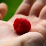 Raspberries: Bio-Chemistry