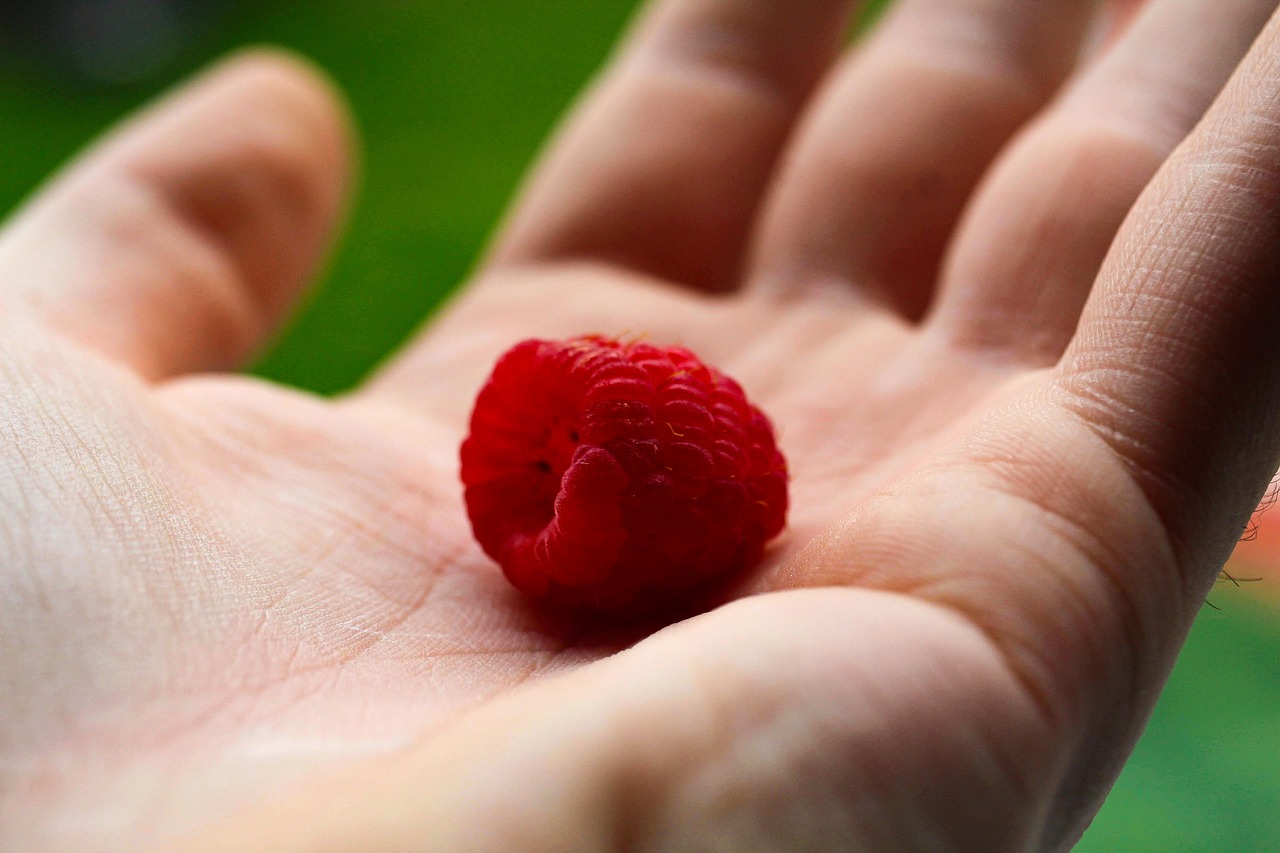 fruit, raspberry, ripe raspberry-7207995.jpg