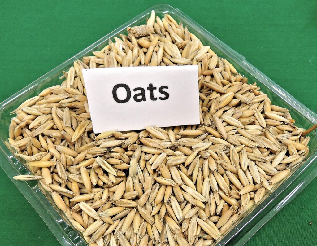 oats, grain, cereal-968980.jpg